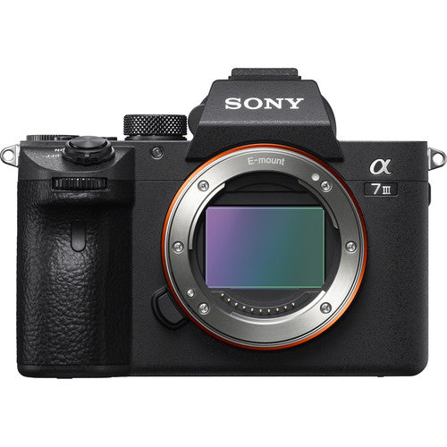 Sony Mirrorless Camera